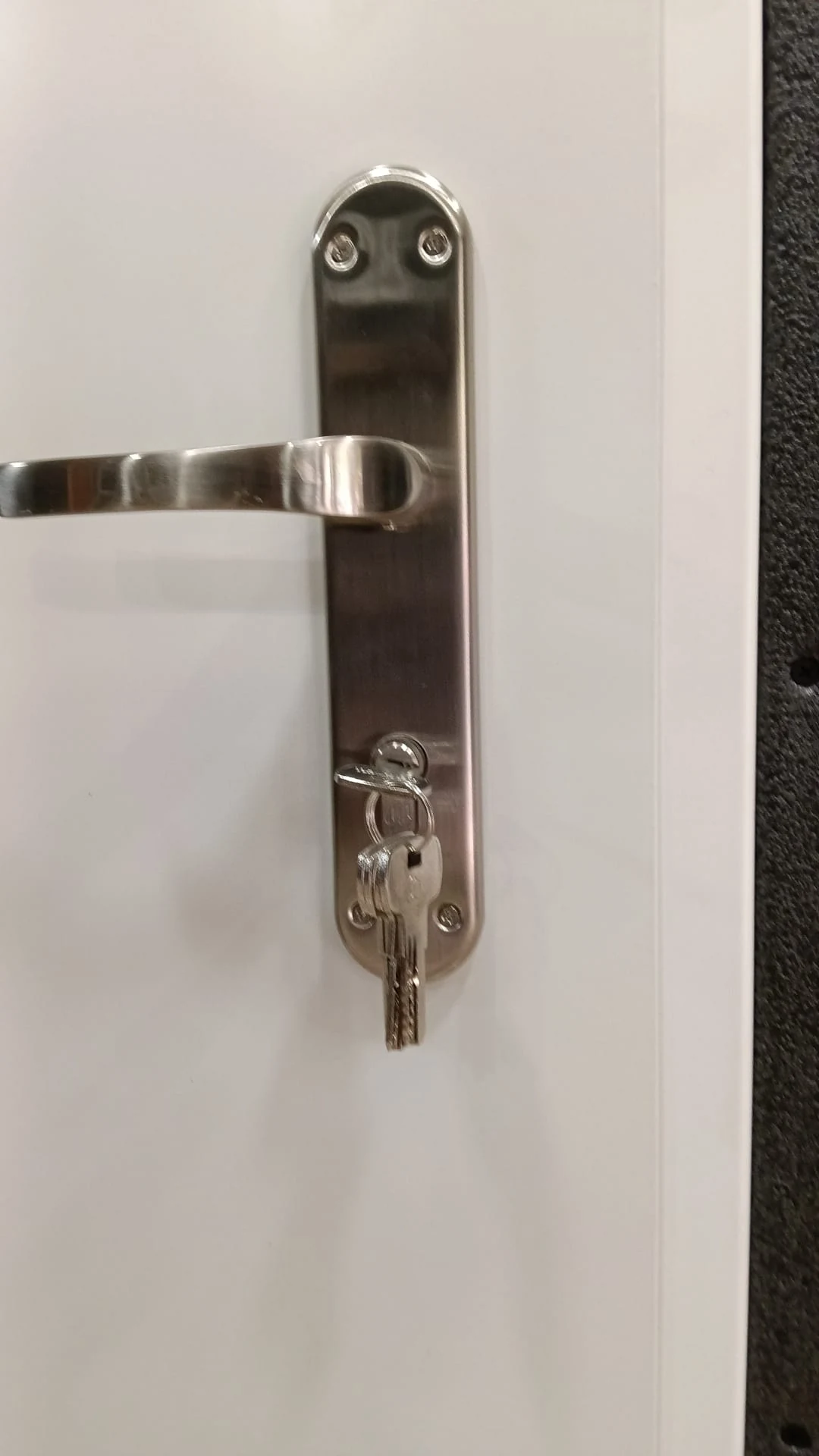 Detalle de cerradura de puerta de seguridad